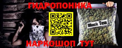 стафф Кинель