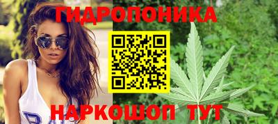СК Кимры