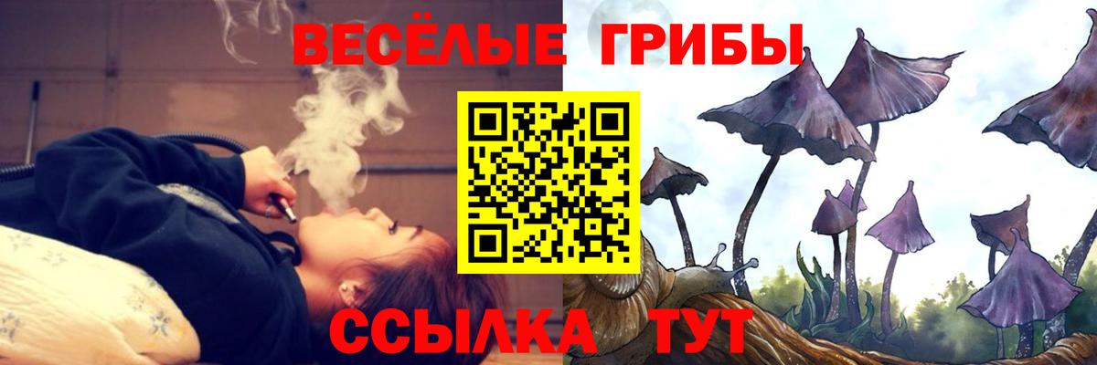 Галлюциногенные грибы Magic Shrooms  Псилоцибиновые грибы GOLDEN TEACHER  Шали  Вход с VPN 